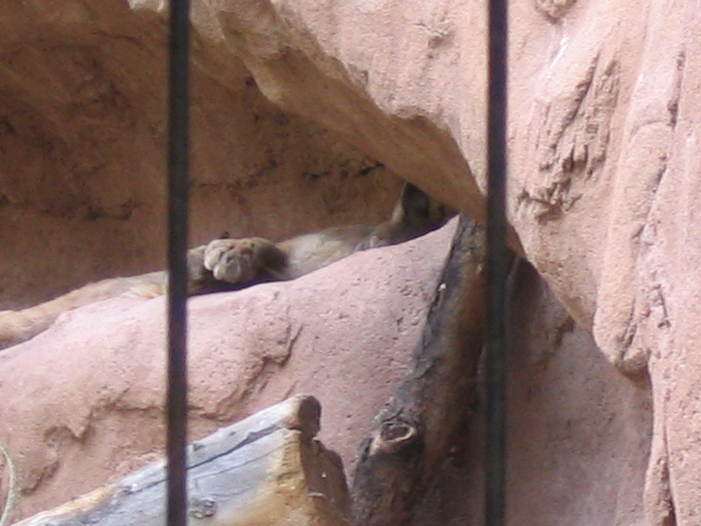 618x457 pixels (156K)